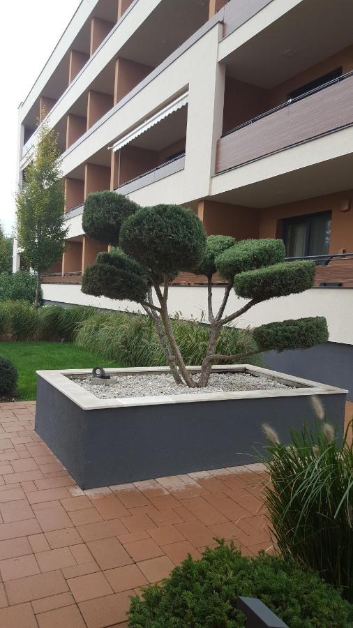 德布勒森Big Forest Apartman公寓 外观 照片